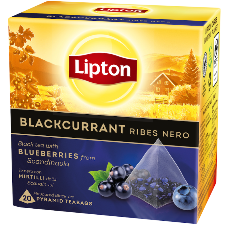 Lipton Blackcurrant - 20 pyramide-tebreve - Rainforest Alliance