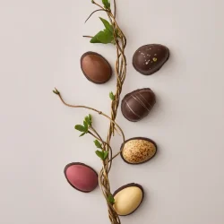 Ole Chokolade - Gave�ske - 8 Mester�g